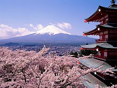 Cherry Blossoms and Mount Fuji, Japan